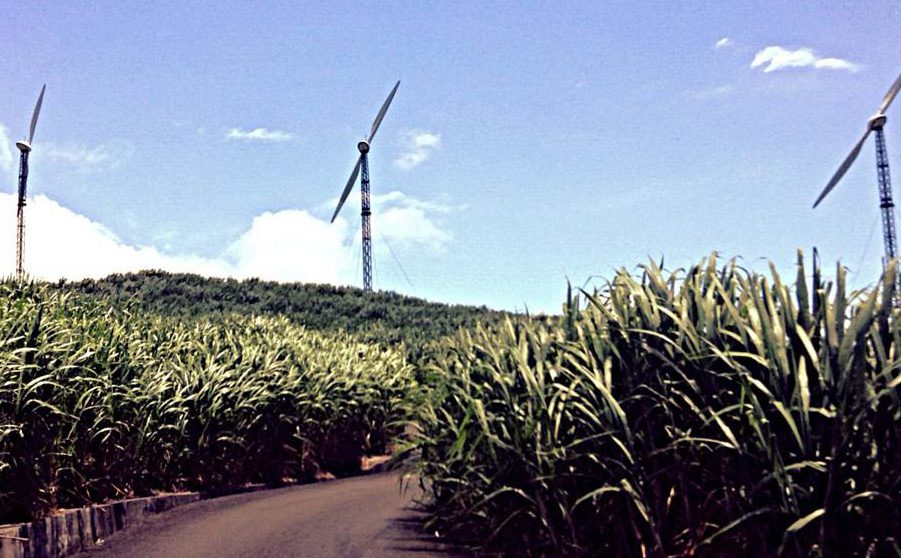 Pesticides dans les champs de cannes, c’est 3 fois NON !