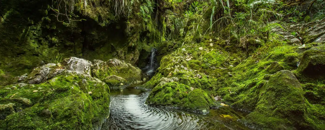 écologie nature