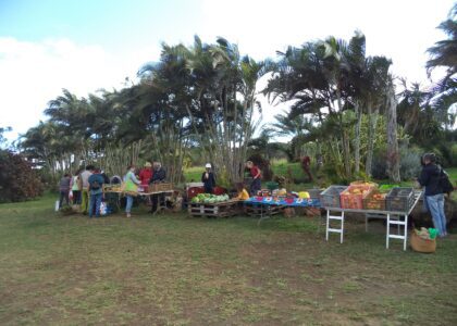 Marché de l'AREC Petite Ile