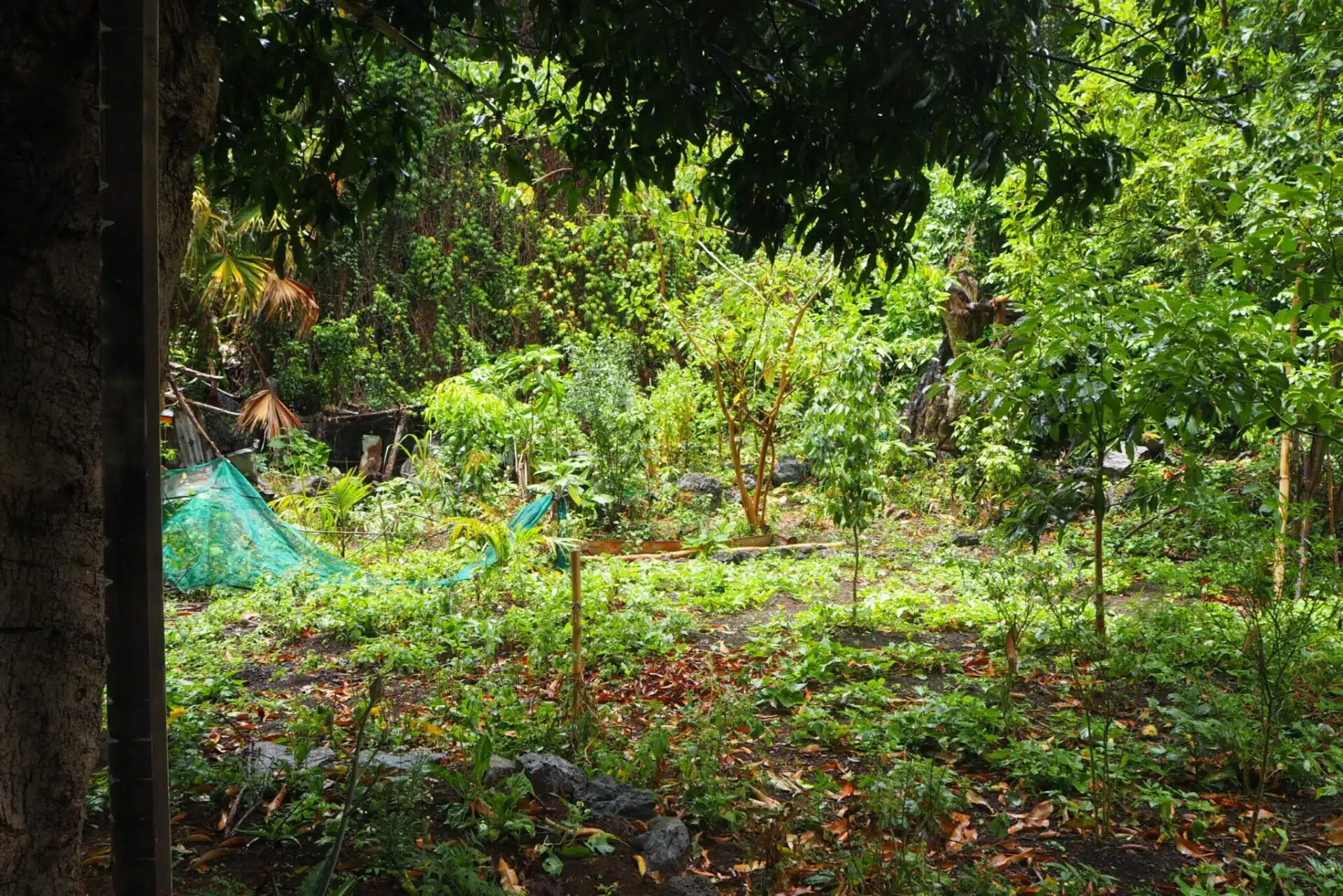 [QG Zazalé] Destruction du Jardin d’Abord