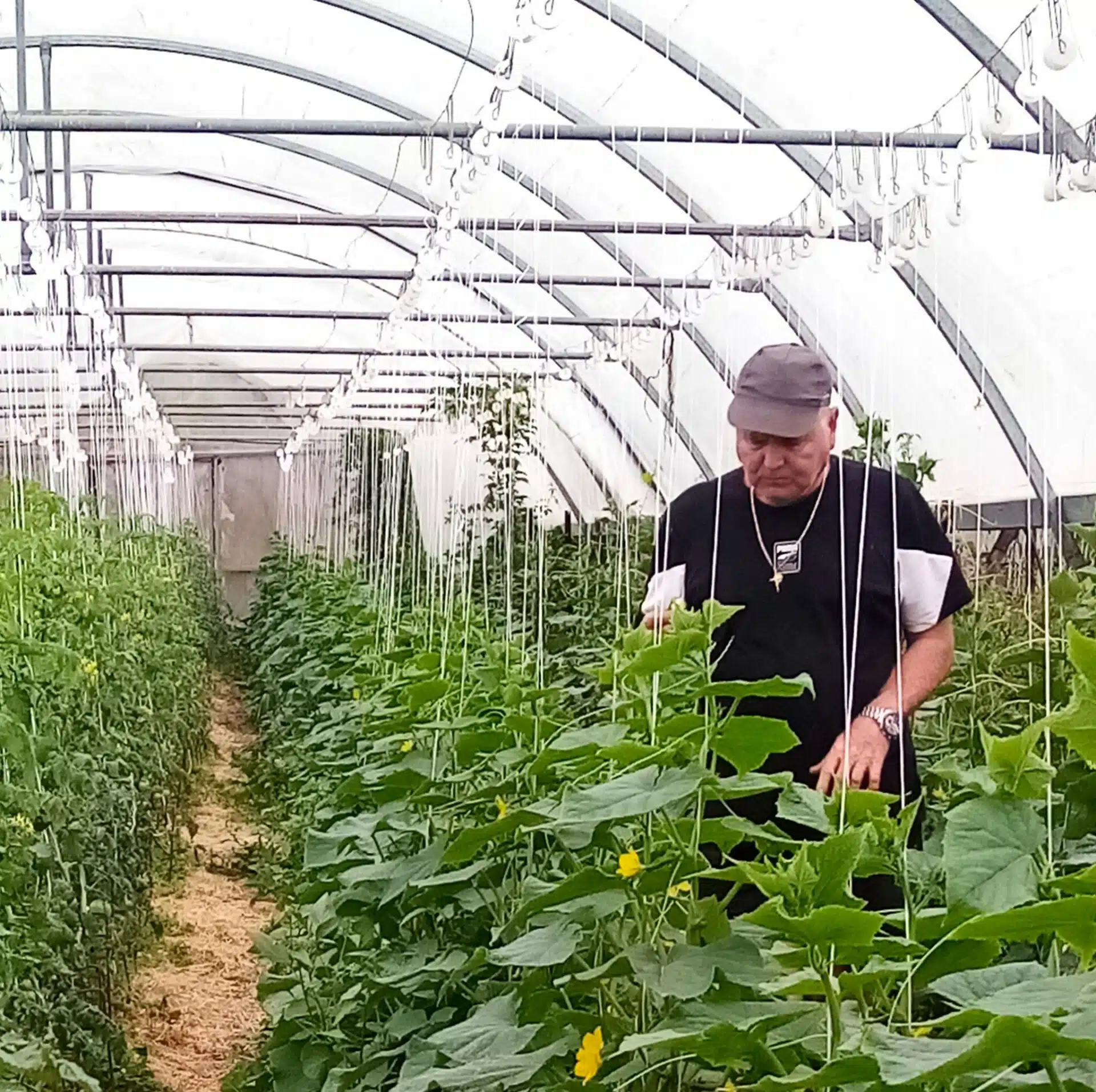 « Au Jardin bio » d’un terrain sans pesticides avec un agriculteur sans filtres !