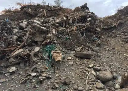 Exploitation d'une carrière marron au Port