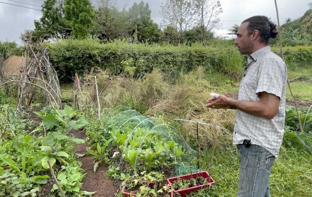 autonomie alimentaire Oasis Réunion exploitation de la Source elle rit à Bras Pistolet Yves Boussardon