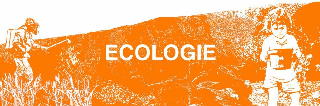 Articles écologie Parallèle Sud