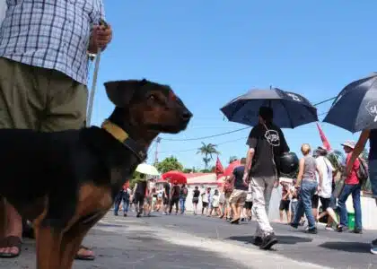 manifestation loi retraites Saint-Pierre mardi 7 février 2022