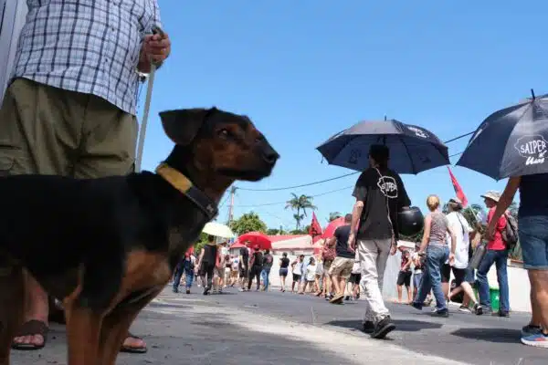 [Social] A Saint-Pierre, la manif s’invite à la mairie