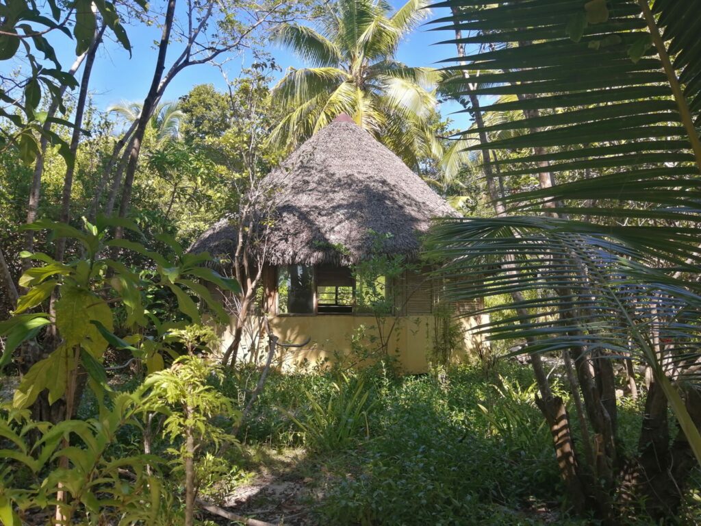 Les bébés tortues à Nosy Iranja à Madagascar (mai 2023).