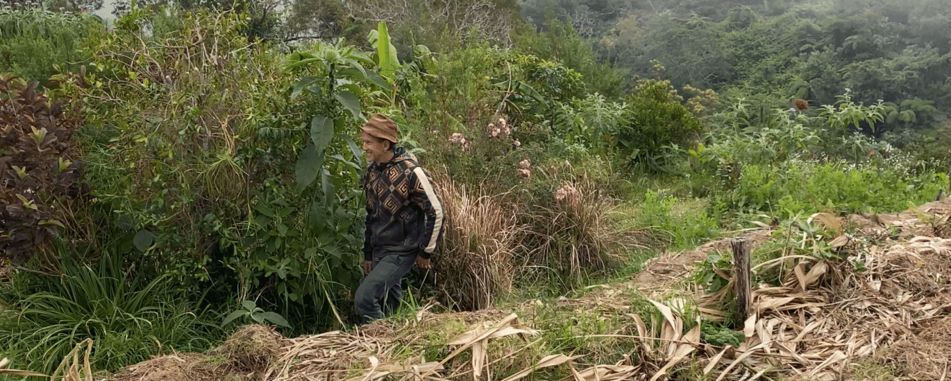 Fred de la bergerie agroforesterie