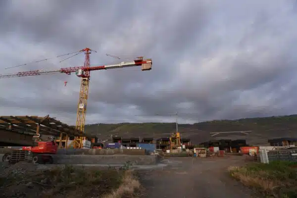 [Aménagement] Chantier sur le dernier fragment de savane