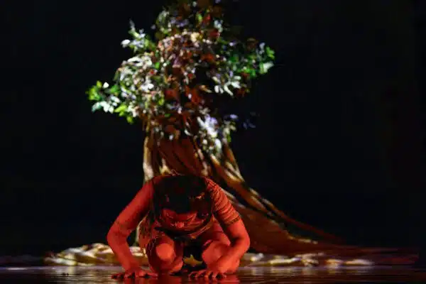 [Théâtre] L’Enfant de L’Arbre, son élégance et son vitriol