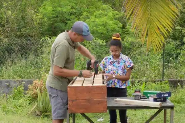 [Écotutos] Comment fabriquer une jardinière avec du bois de palette