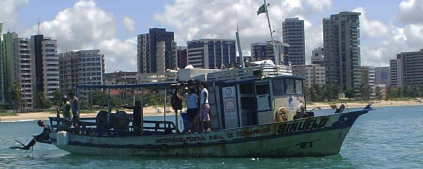 Bateau Sinuelo du Dr Afonso Recife Brésil requins translocation