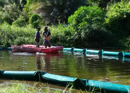 barrage flottant Gemapi lutte contre EEE espèces exotiques envahissantes salade d'eau ravine l'Ermitage TO