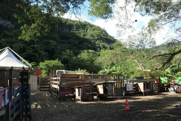 [Matèr] Lou Cachet’, une ferme qui se réinvente