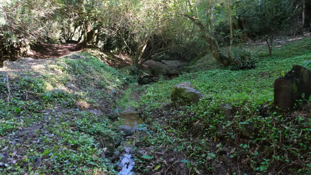 Plathelminthe Petite Ile sentier Vivier avec la classe de Tiphaine et Raphaelle Pascot spécialiste de ces vers plats. Et Valentin Vaslet médiateur Nature océan indien NOI