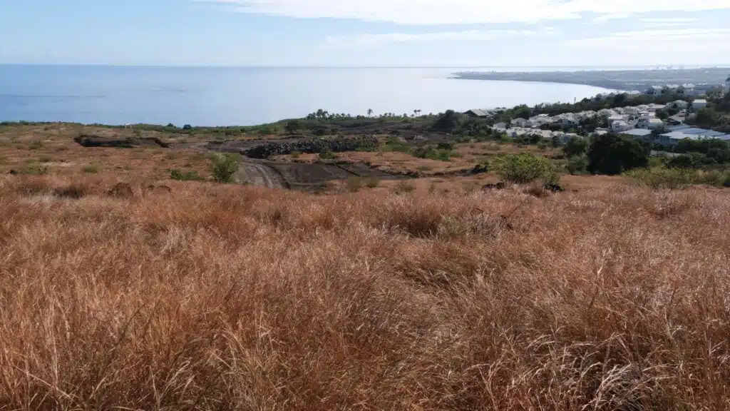 Protèz nout savane Plateau-Caillou Saint-Paul Zac Savane des Tamarins Renaissance III 3 Sedre - Désastre