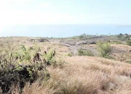 Elie Payet Protège nout savane Plateau-Caillou Saint-Paul