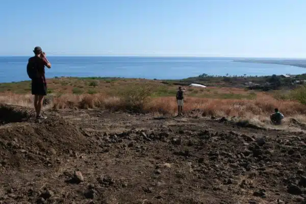 Le collectif Protège nout Savane demande un moratoire !