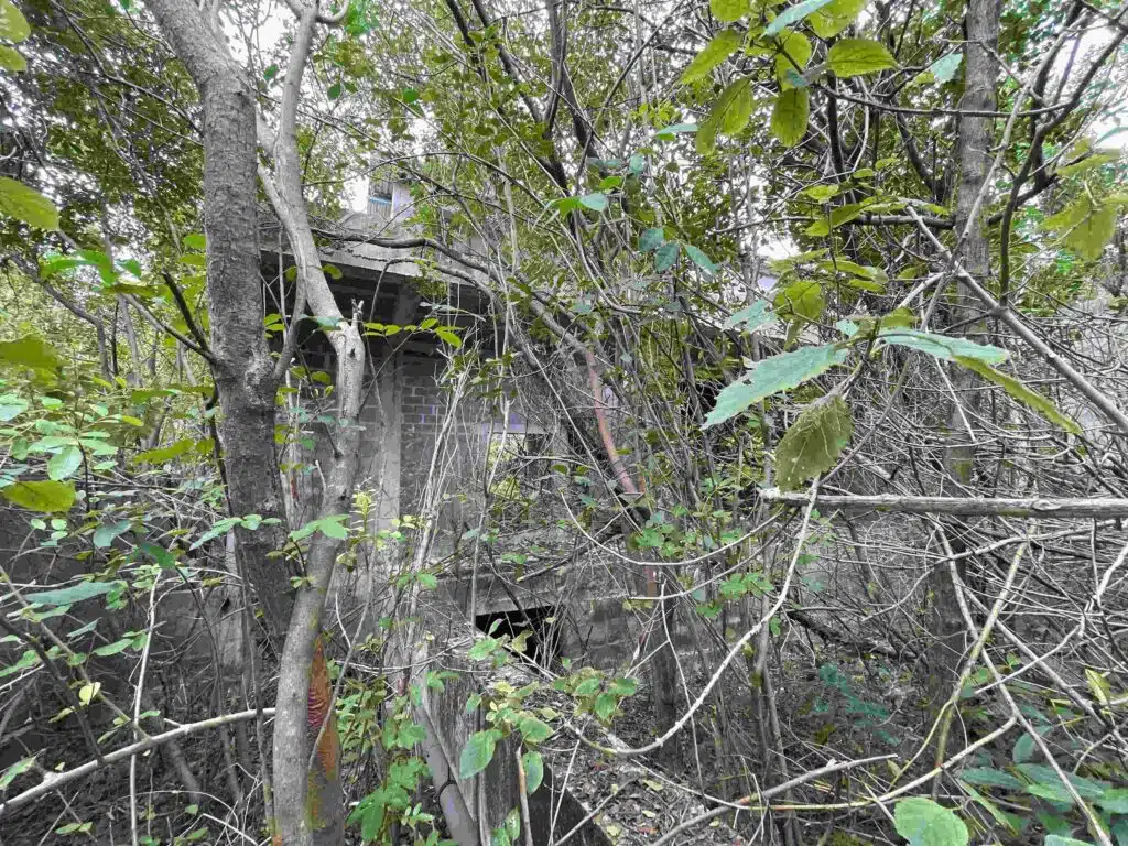 Visite des ruines de l'hôtel le Superbe à Saint-Philippe festival de graf