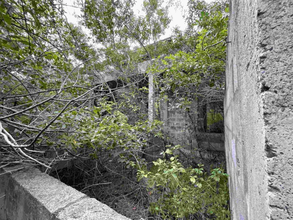 Visite des ruines de l'hôtel le Superbe à Saint-Philippe