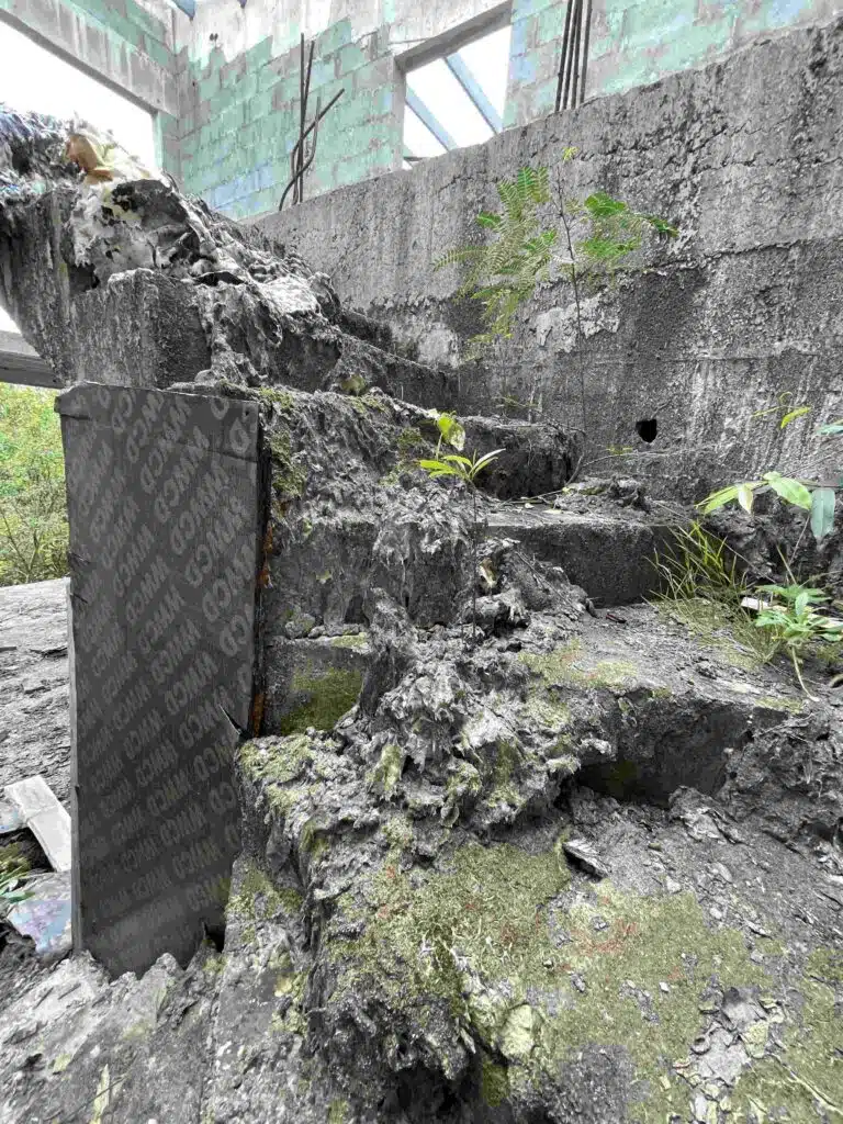 Visite des ruines de l'hôtel le Superbe à Saint-Philippe festival de graf