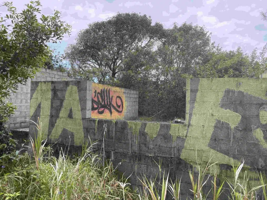 Visite des ruines de l'hôtel le Superbe à Saint-Philippe festival de graf