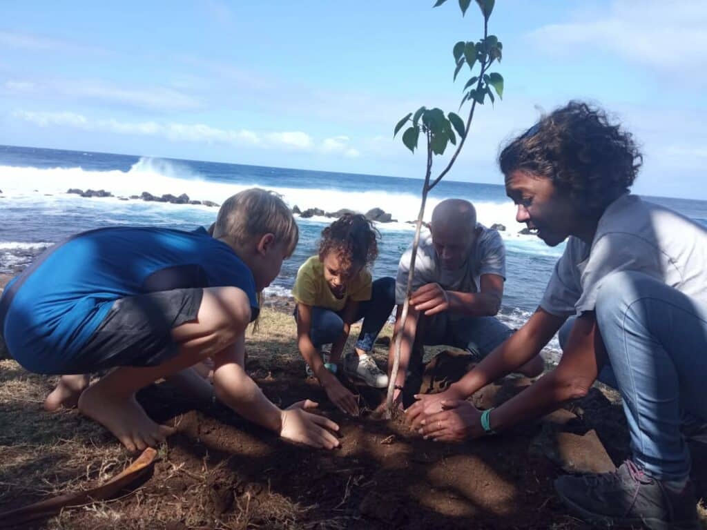 5000 piédbwa grand anse