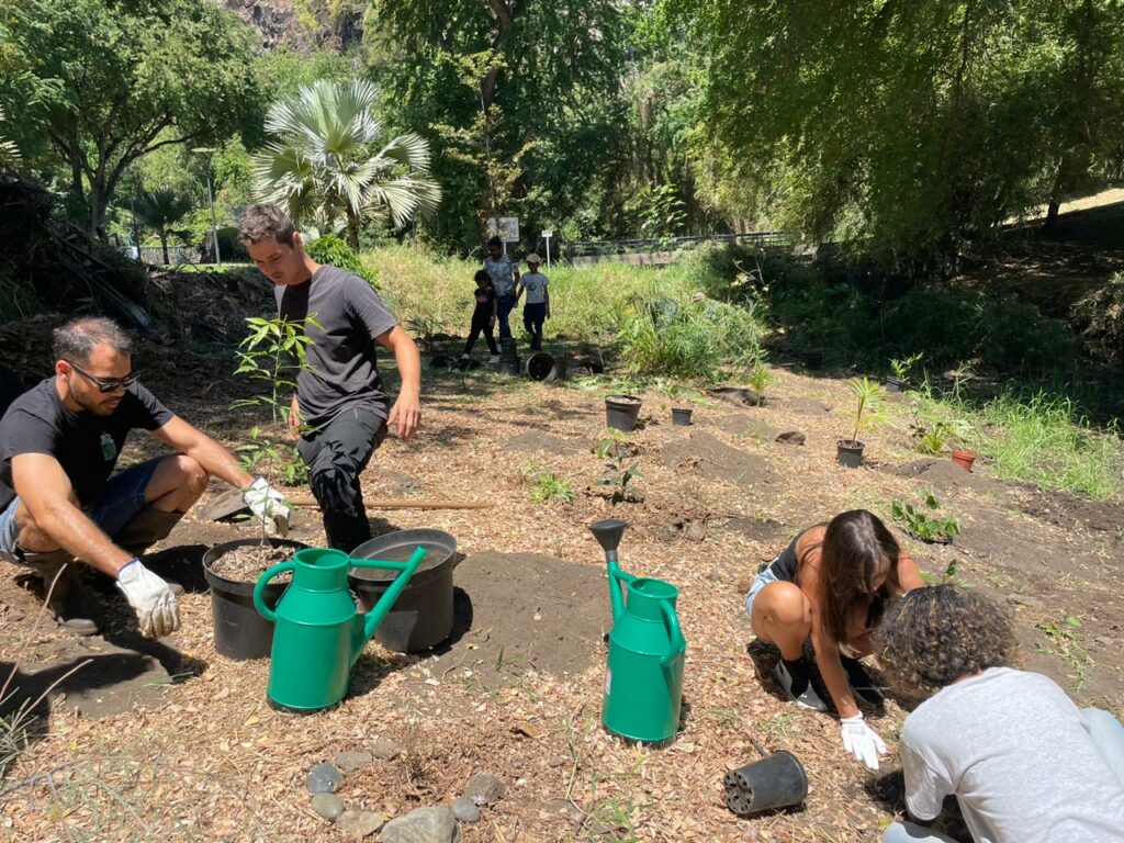 Journée du patrimoine végétal avec le collectif 5000 piédbwa à la grotte du peuplement à Saint-Paul le 22 septembre 2024.